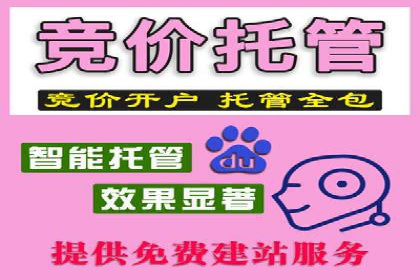 案例研究：SEM推广助力企业业绩增长